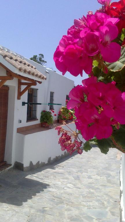 Casas El Molino Villa Vejer de la Frontera Room photo